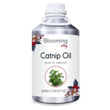 Catnip Oil (Nepeta Cataria) 100% Natural Pure Essential Oil