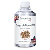 Sugandh Mantri Oil (Homalomena Aromatica) 100% Natural Pure Essential Oil