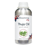 Thuja Oil (Thuja Orientali) 100% Natural Pure Essential Oil