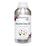 Mountain Daisy Oil 100% Natural Pure Undiluted Uncut Essential Oil