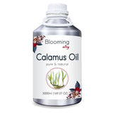 Calamus Oil (Acorus Calamus) 100% Natural Pure Essential Oil