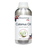 Calamus Oil (Acorus Calamus) 100% Natural Pure Essential Oil